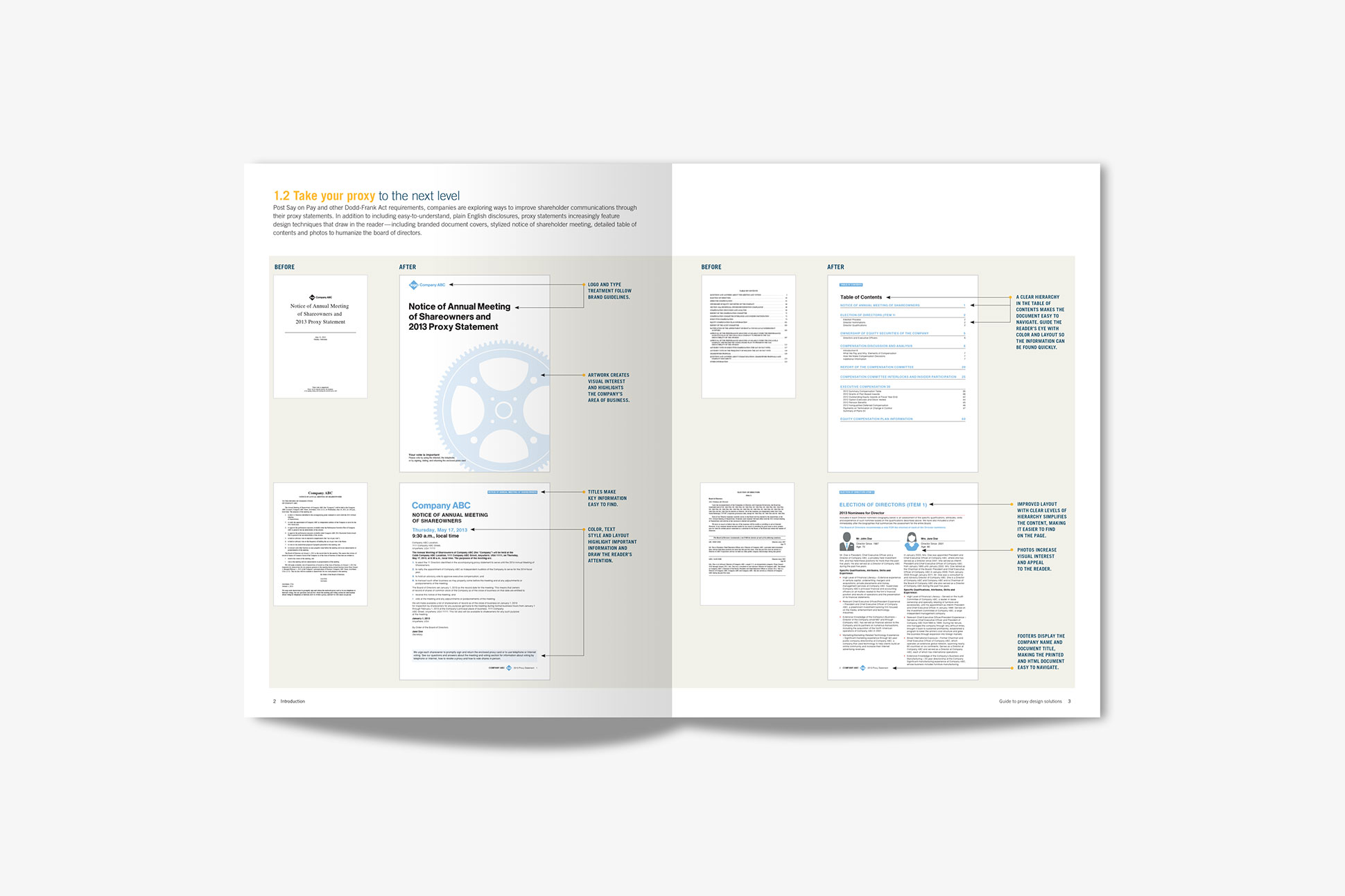 RR Donnelley Guide to Proxy Design